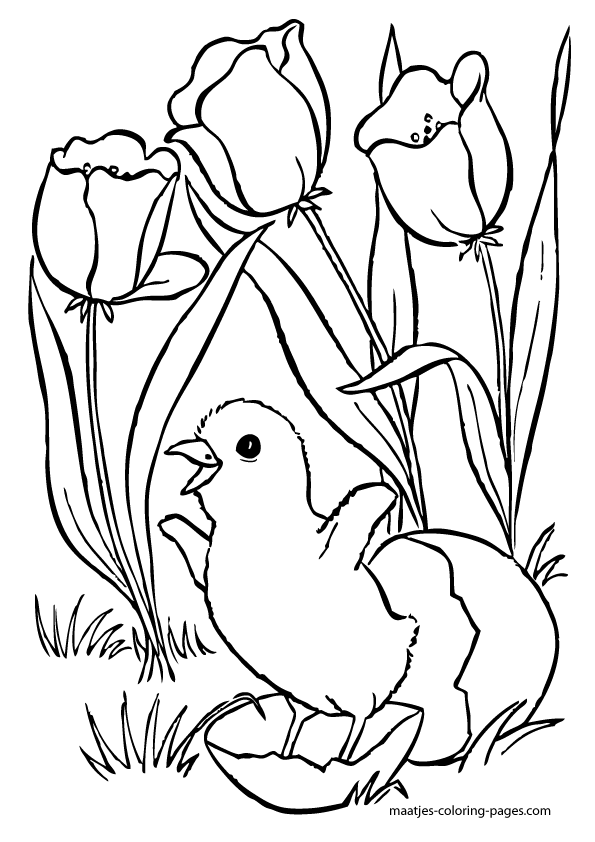 Easter Coloring Pages